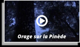 Orage sur la Pinède